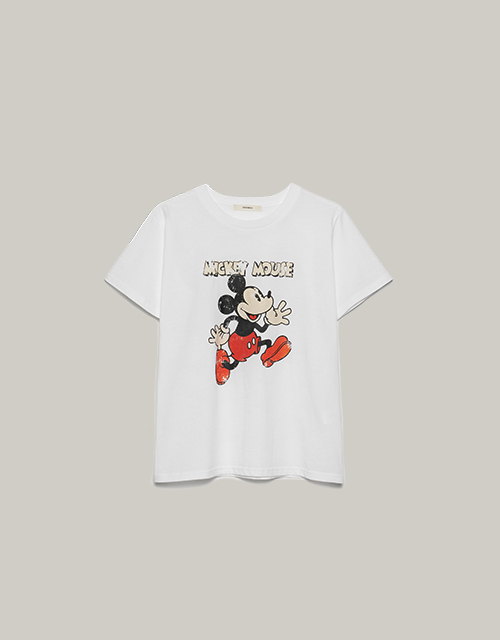 Enzyme mickey T